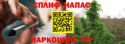 крисы Краснознаменск