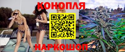 индика Комсомольск-на-Амуре