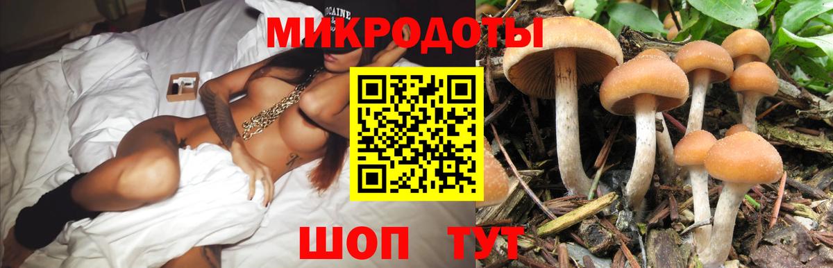 Галлюциногенные грибы MAGIC MUSHROOMS Донской