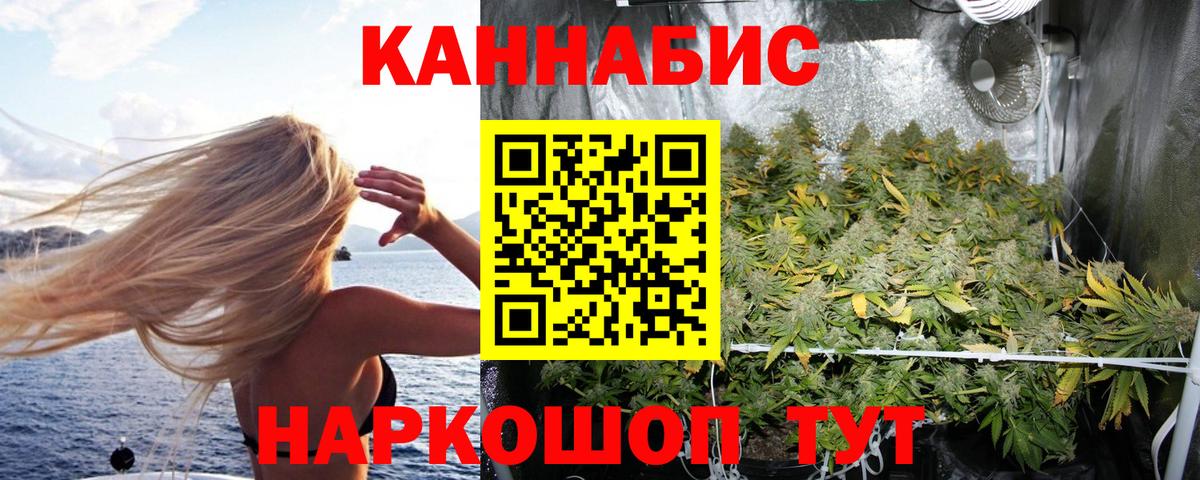 Бошки Шишки гибрид  Канабис VHQ  Донской  Шишки марихуана план  Вход с VPN 